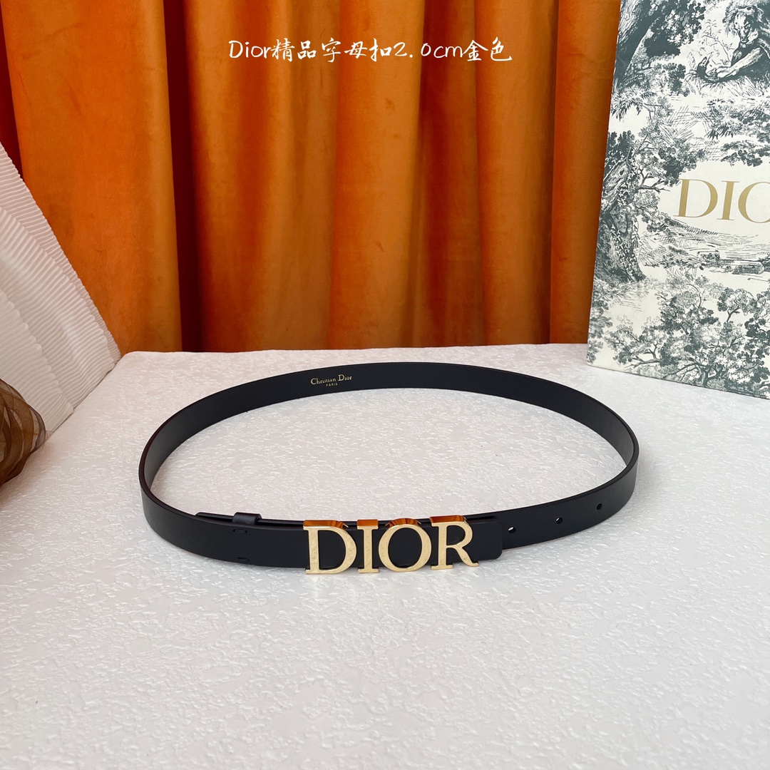 Dior-Belts