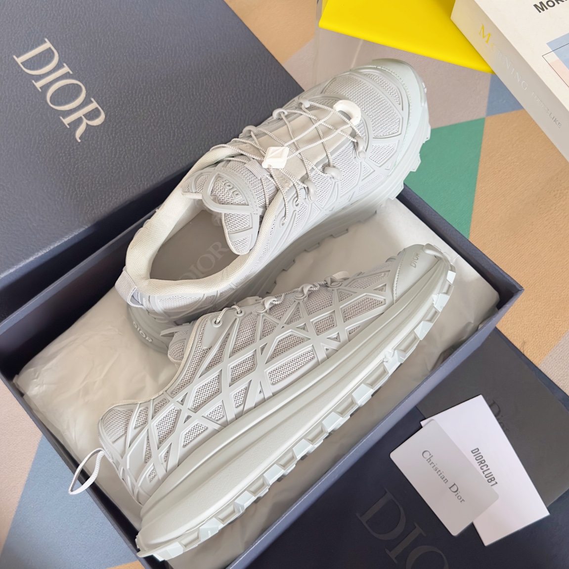 DiorSHOES