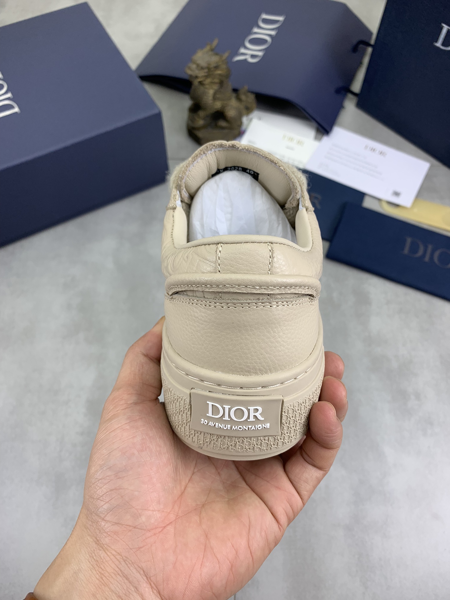 DiorSHOES